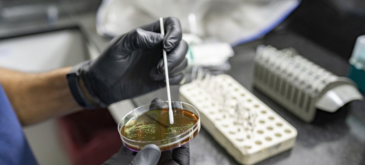 A scientist in Venezuela investigates antimicrobial resistance (AMR), considered one of the top 10 global public health threats, which occurs when viruses change over time and no longer respond to medicines. A scientist in Venezuela investigates antimicrobial resistance (AMR), considered one of the top 10 global public health threats, which occurs when viruses change over time and no longer respond to medicines.