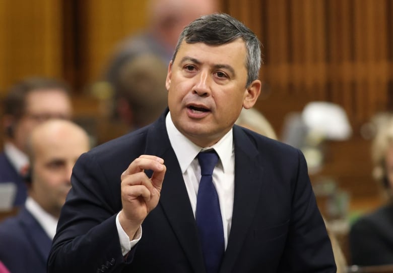 A man in a suit gestures while speaking in Parliament.