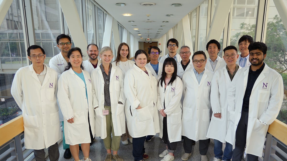 COVID-19 virus could attack cancer cells and shrink tumors, new study suggests