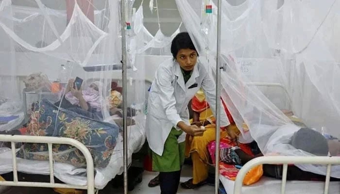 Cases of dengue likely to decline in Nov, says PMD