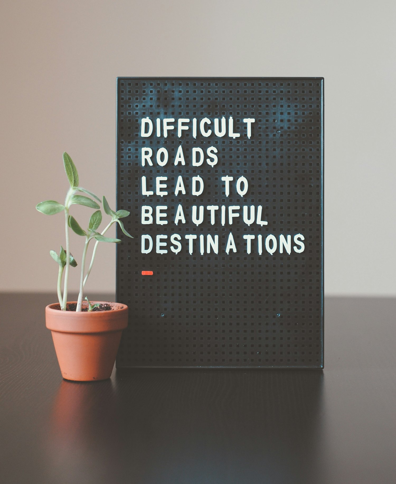 Exploring Post-Traumatic Growth  — Renewing Life Center