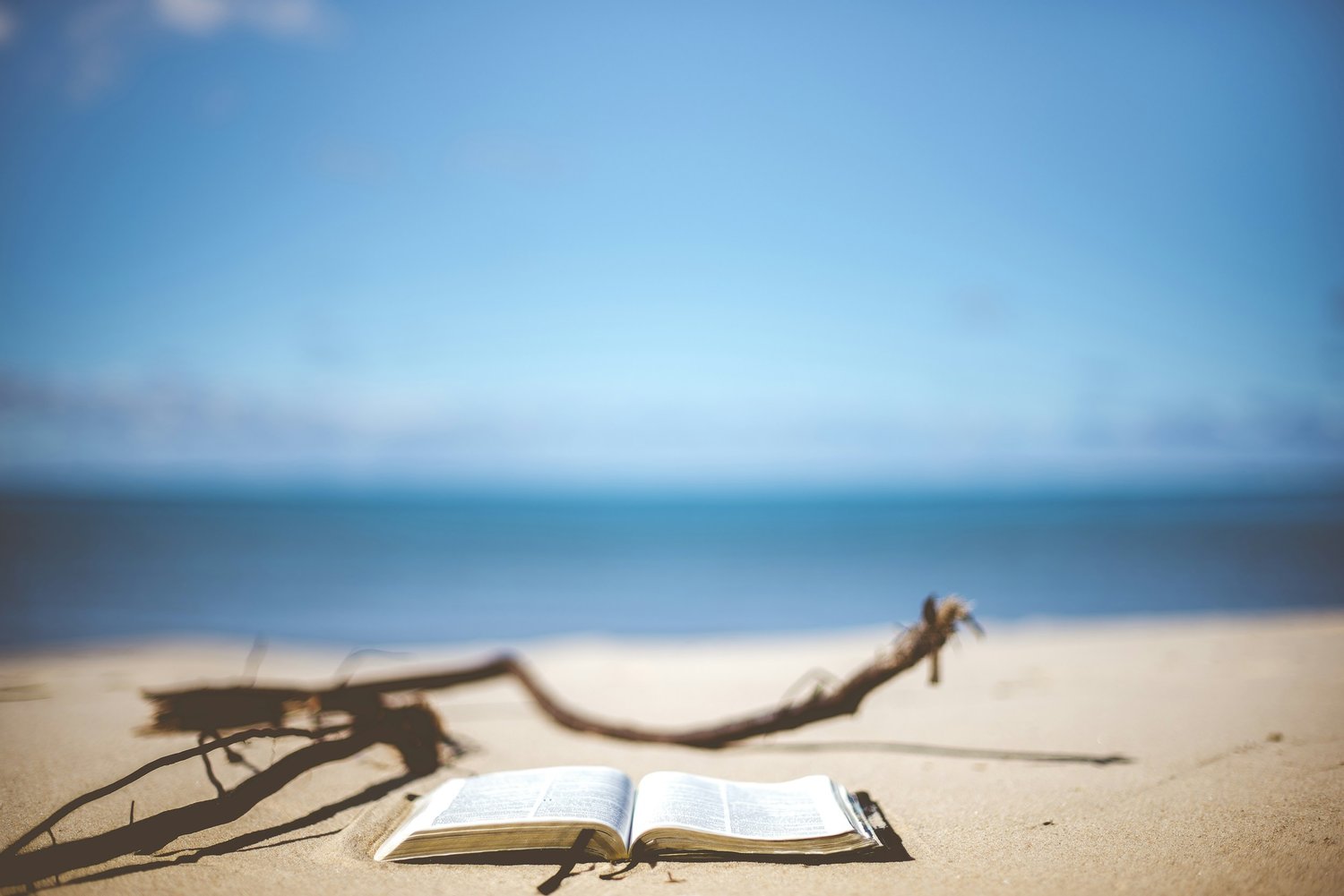 Finding Peace and Presence through Biblical Wisdom — Renewing Life Center