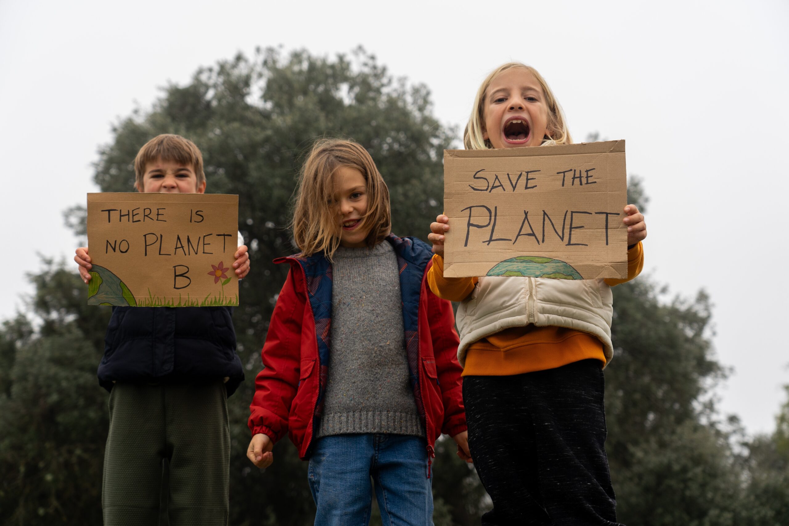 From COP29 to Net Zero Mental Health Care: What does it mean for Child and Adolescent Mental Health professionals?