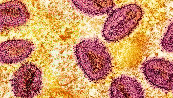 India reports first mpox case of rapidly spreading clade 1b variant