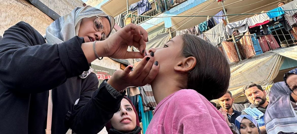UNRWA and partners have started the second round of the polio vaccination campaign in Gaza. UNRWA and partners have started the second round of the polio vaccination campaign in Gaza.