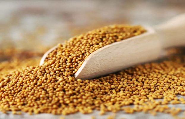 Mustard seeds might be the secret to a younger-looking skin