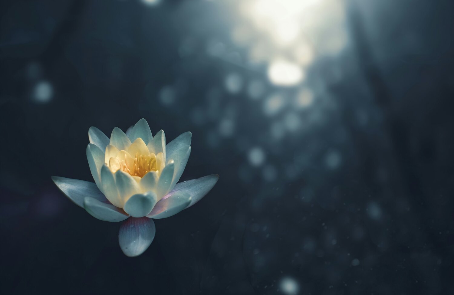 Nurturing Wellness:  Caring for Mind, Body & Soul — Renewing Life Center