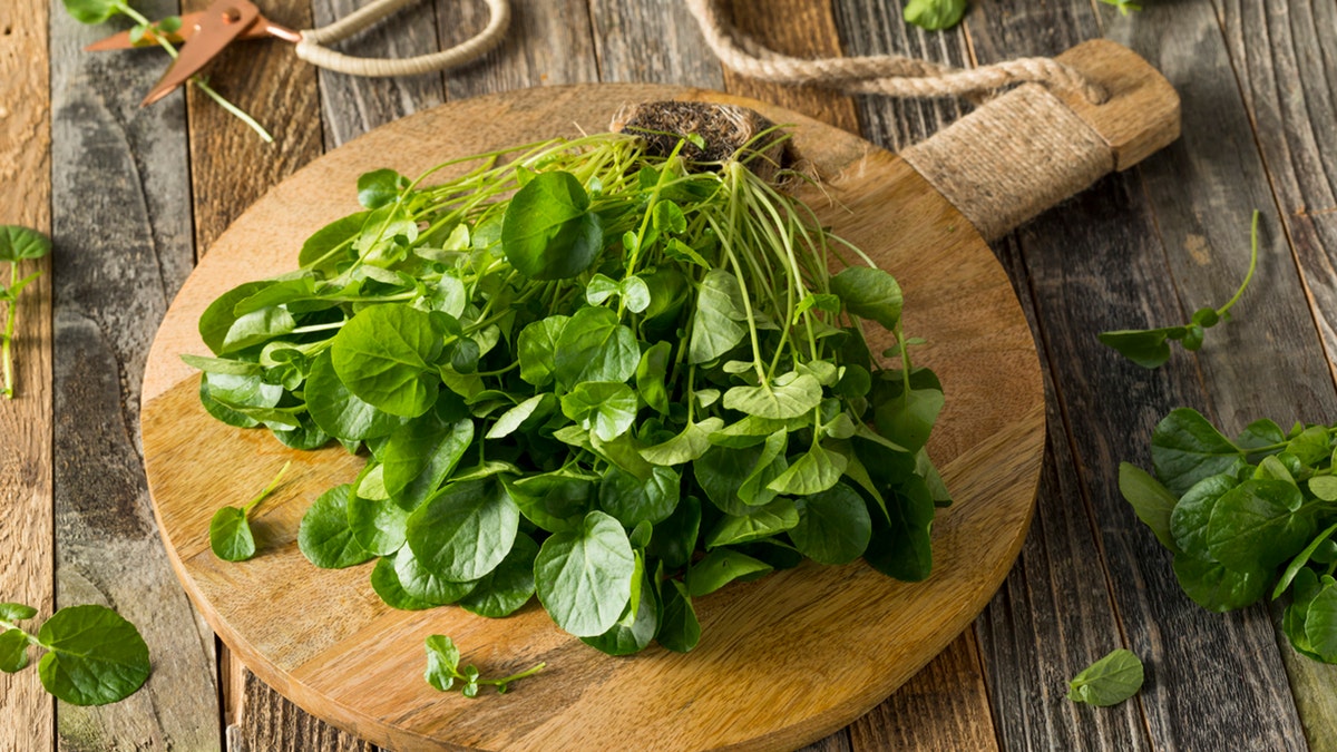 This power green is the healthiest veggie of all, says the CDC