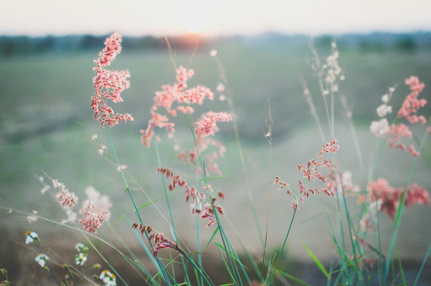 Understanding Anxiety — Renewing Life Center