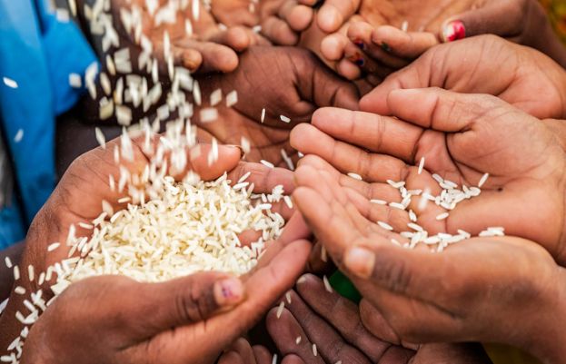 World Food Security Day: Addressing global hunger with a focus on Pakistan